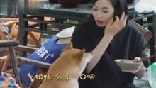 娱乐八卦吃瓜直播姐妹视频