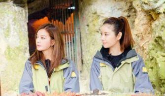 吃瓜娱乐圈万万没想到